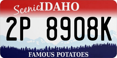 ID license plate 2P8908K