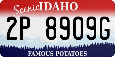 ID license plate 2P8909G