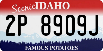 ID license plate 2P8909J