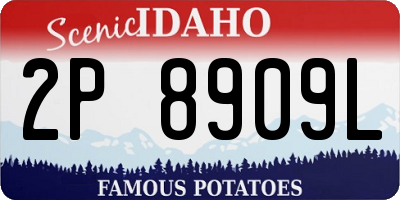 ID license plate 2P8909L