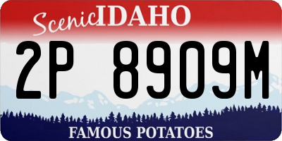 ID license plate 2P8909M