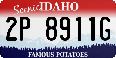 ID license plate 2P8911G