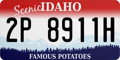ID license plate 2P8911H
