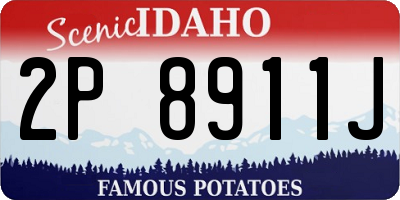 ID license plate 2P8911J