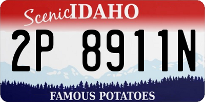 ID license plate 2P8911N