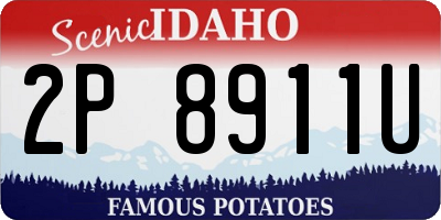 ID license plate 2P8911U