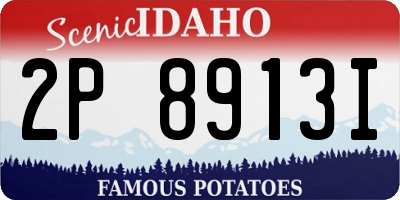 ID license plate 2P8913I