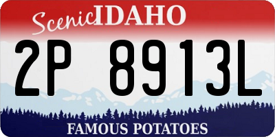 ID license plate 2P8913L