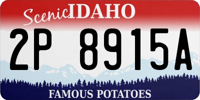 ID license plate 2P8915A