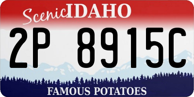 ID license plate 2P8915C