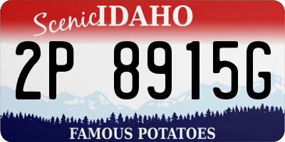 ID license plate 2P8915G