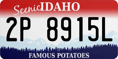 ID license plate 2P8915L