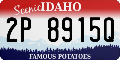 ID license plate 2P8915Q