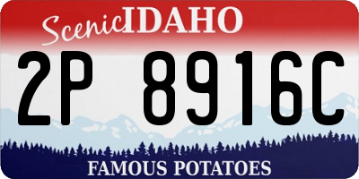ID license plate 2P8916C