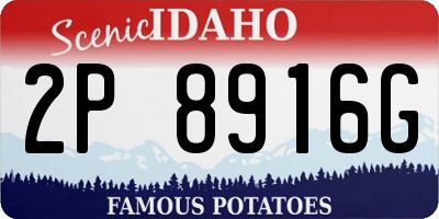 ID license plate 2P8916G