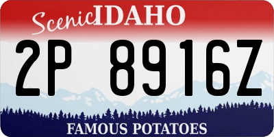 ID license plate 2P8916Z