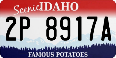 ID license plate 2P8917A