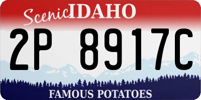 ID license plate 2P8917C
