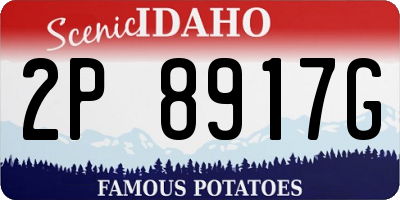 ID license plate 2P8917G