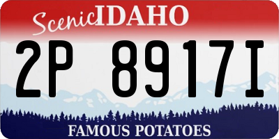 ID license plate 2P8917I