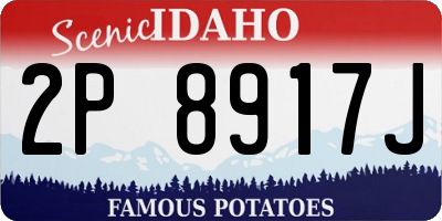 ID license plate 2P8917J