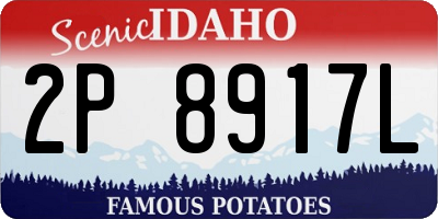 ID license plate 2P8917L