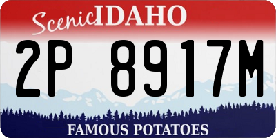 ID license plate 2P8917M