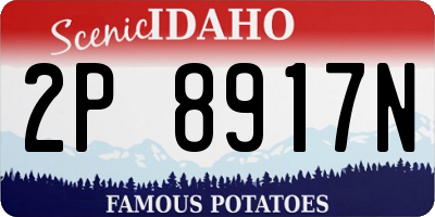 ID license plate 2P8917N