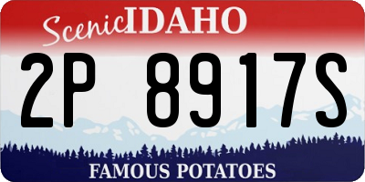 ID license plate 2P8917S