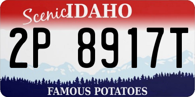 ID license plate 2P8917T