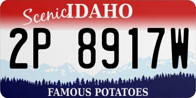 ID license plate 2P8917W