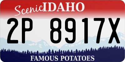 ID license plate 2P8917X
