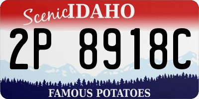 ID license plate 2P8918C