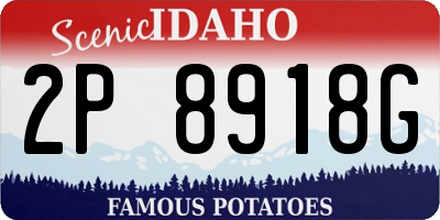 ID license plate 2P8918G