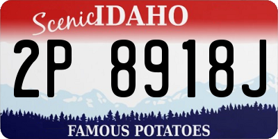 ID license plate 2P8918J