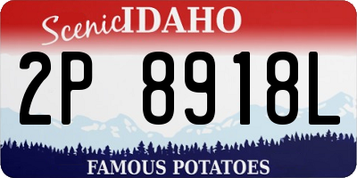 ID license plate 2P8918L