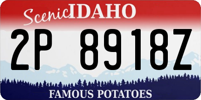 ID license plate 2P8918Z
