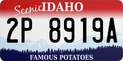 ID license plate 2P8919A