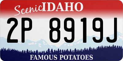 ID license plate 2P8919J