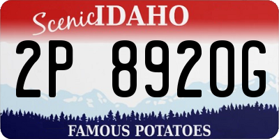 ID license plate 2P8920G