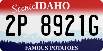 ID license plate 2P8921G