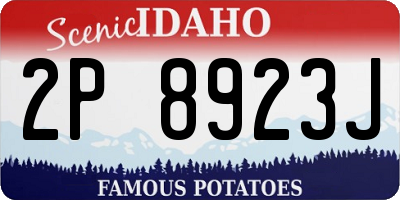 ID license plate 2P8923J