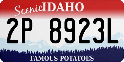 ID license plate 2P8923L