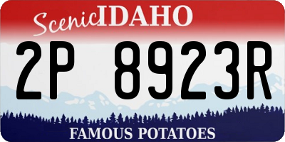 ID license plate 2P8923R