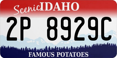 ID license plate 2P8929C