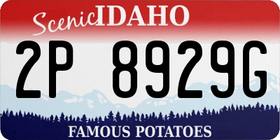 ID license plate 2P8929G