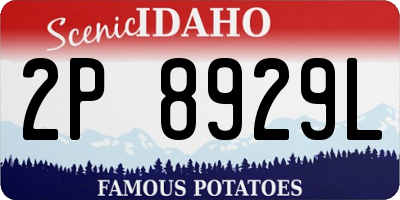 ID license plate 2P8929L