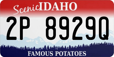 ID license plate 2P8929Q