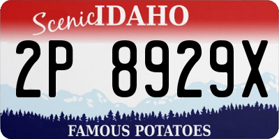 ID license plate 2P8929X
