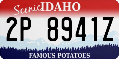 ID license plate 2P8941Z